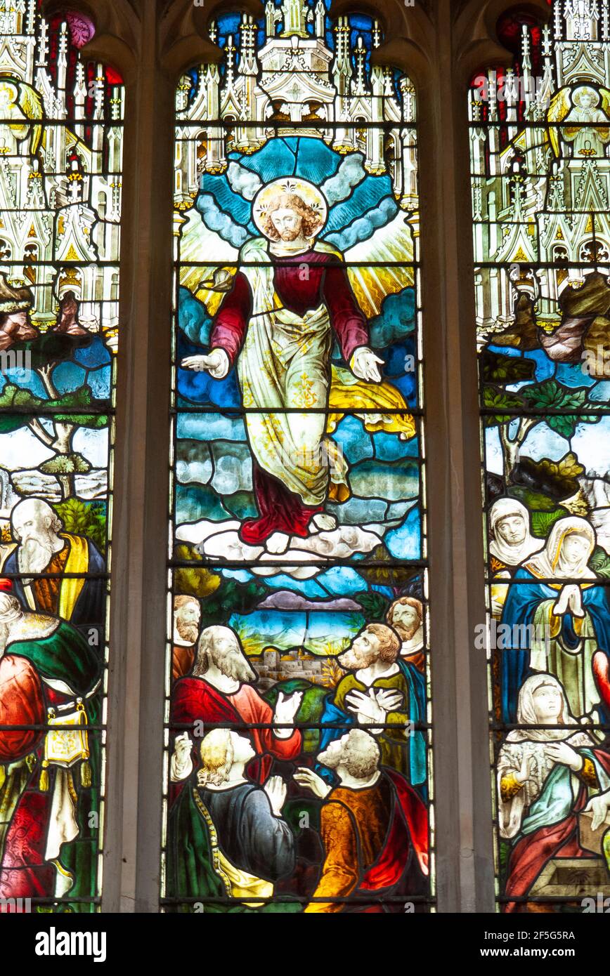 Stained glass windows at Holy Trinity Church, Long Melford, Suffolk, England Stock Photo