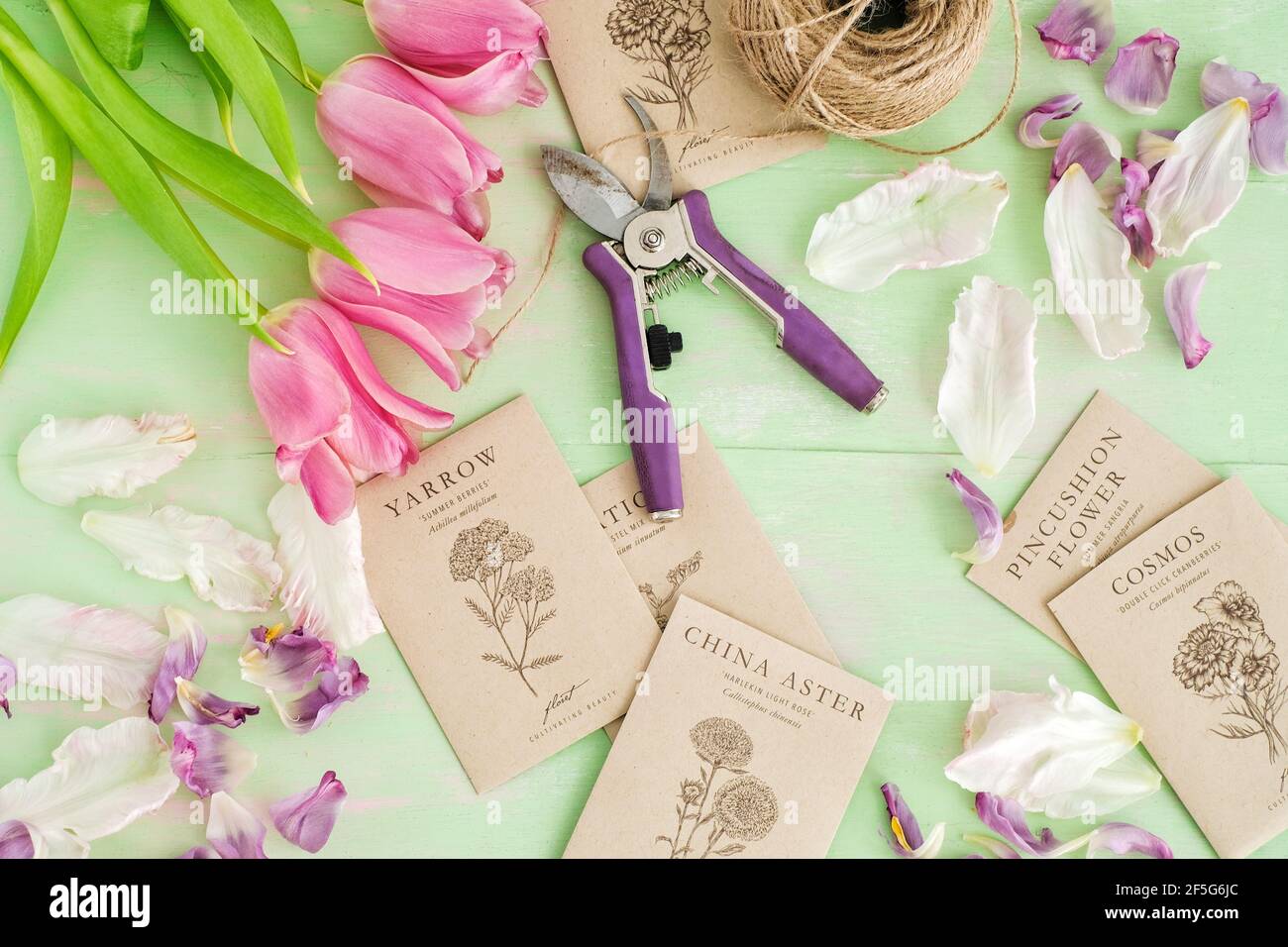 colourful flat lay of seed packages, pink tulips, blossoms and string against a light green paster background Stock Photo