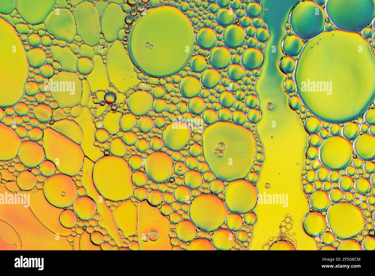 Colorful Oil and Water Abstract Stock Photo