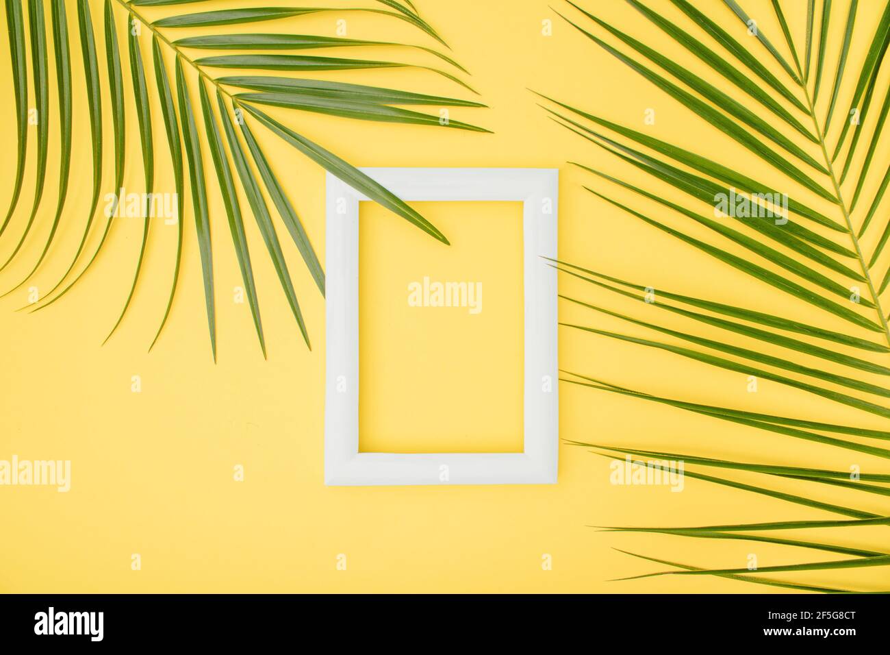 Frame and palm leaves on a yellow background. Tropical summer white ...