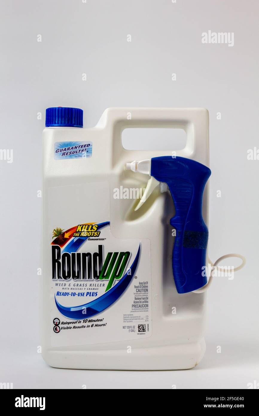 ST. PAUL, MN,USA - MARCH 26, 2021 - Roundup herbicide container and trademark logo. Stock Photo