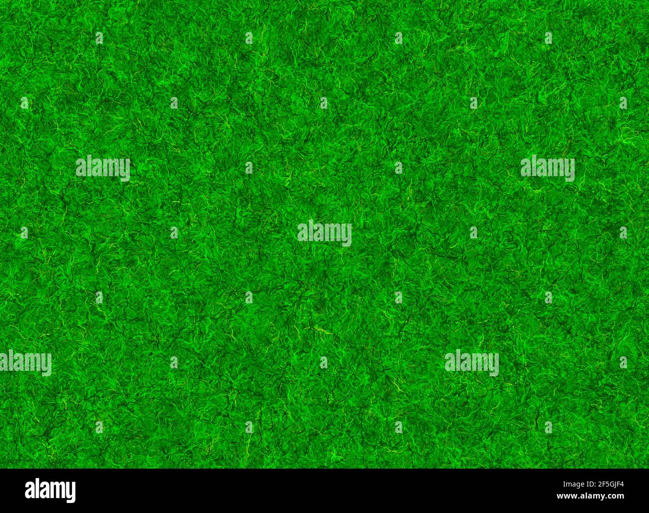 meadow lush green grass texture background Stock Photo - Alamy