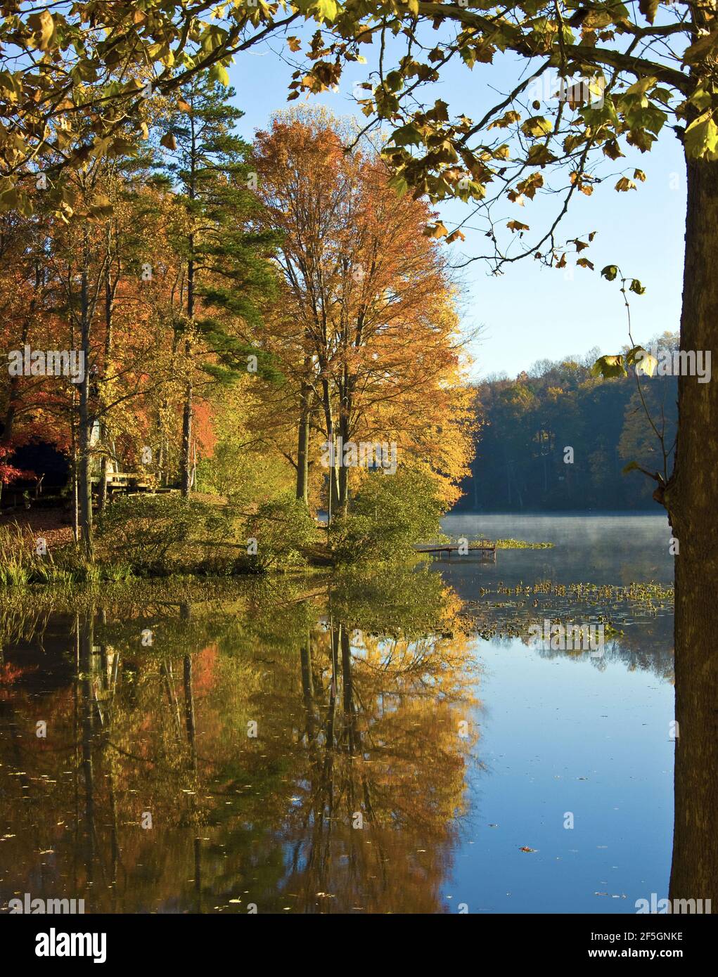 Vertical shot tranquil lake hi-res stock photography and images - Alamy