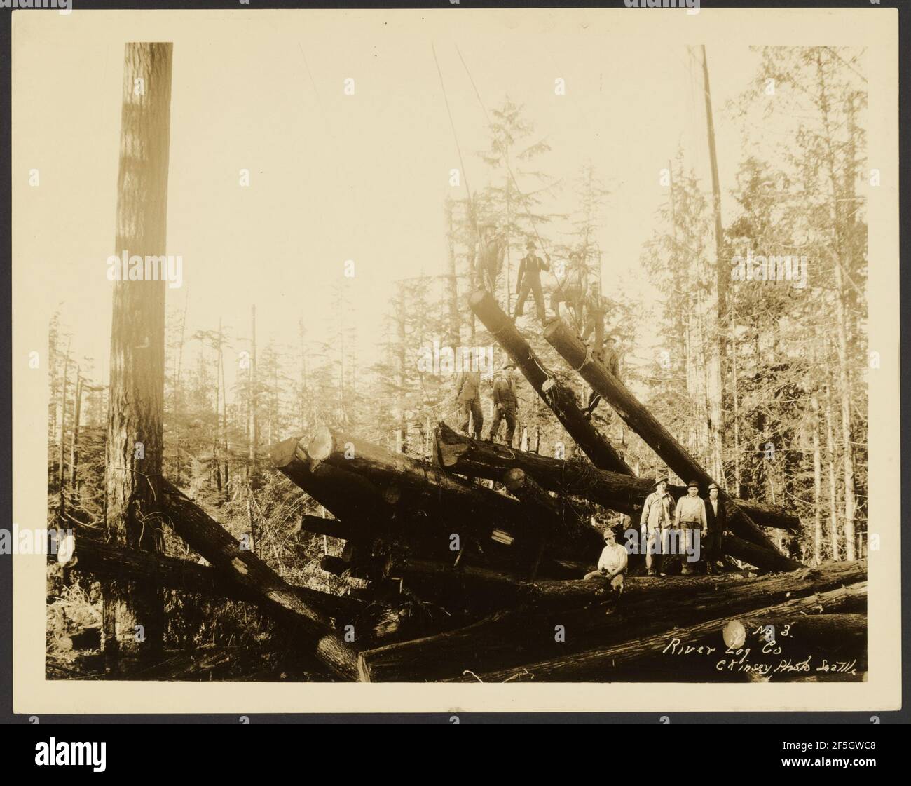 Loggers. Darius Kinsey (American, 1869 1945 Stock Photo Alamy