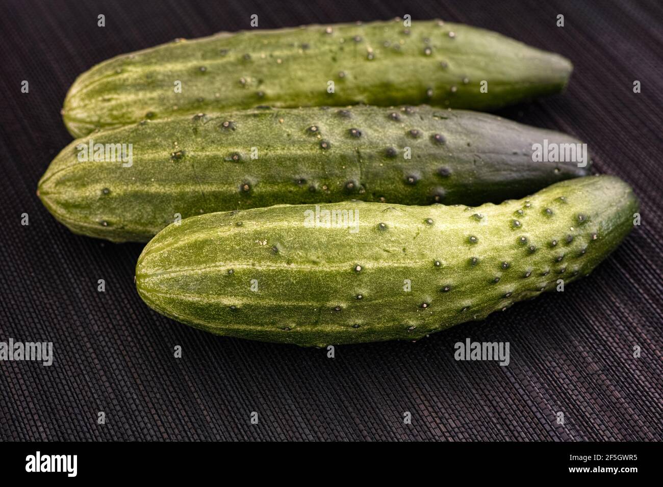 Green cucumbers. Low key. Close up. Stock Photo