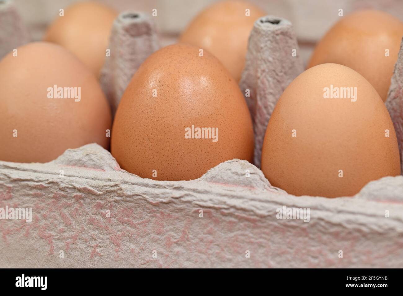 Brown chicken eggs in the package Stock Photo