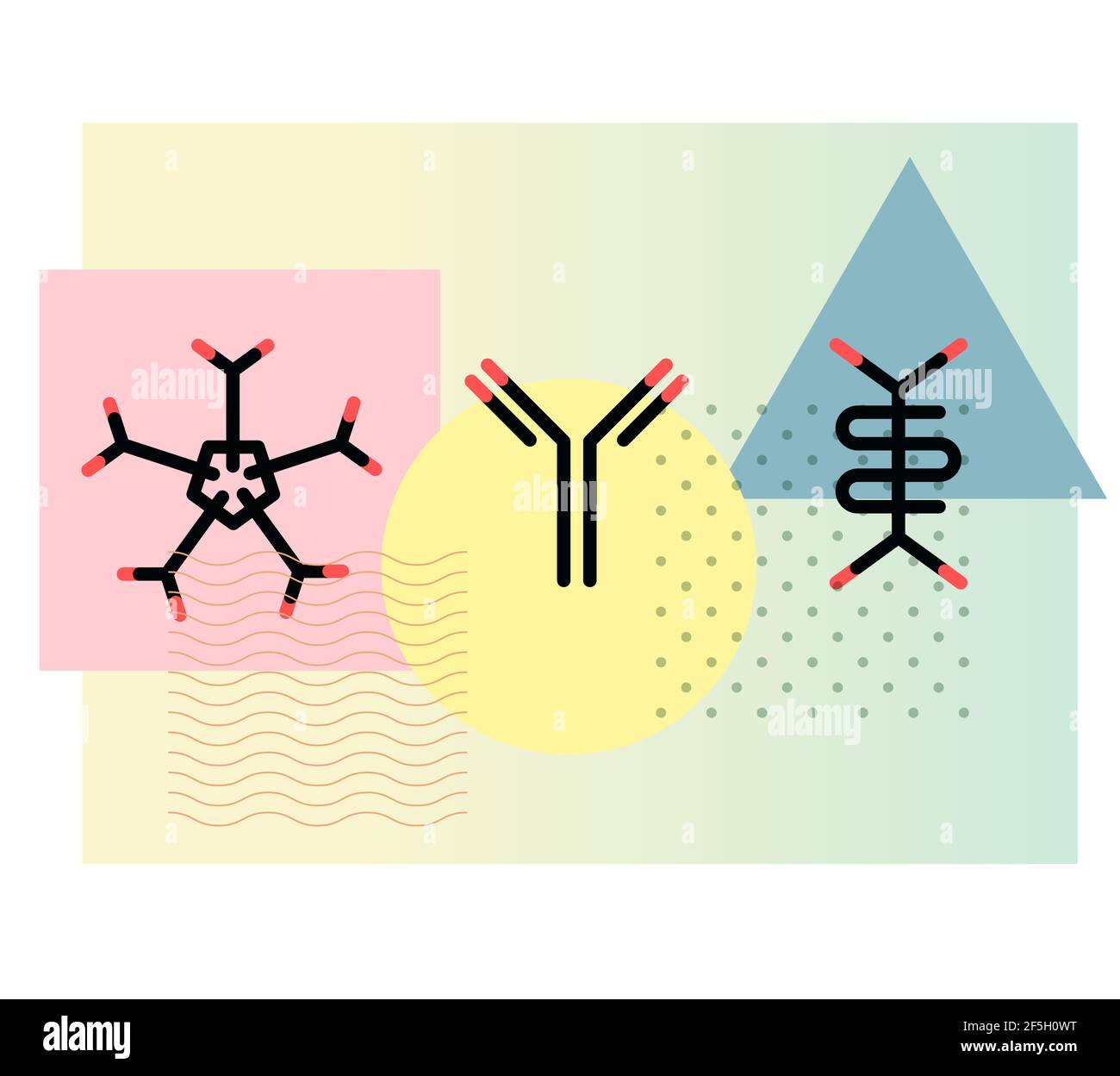 Immunoglobulin - Antibodies - Complex Protein - Icon as EPS 10 File ...