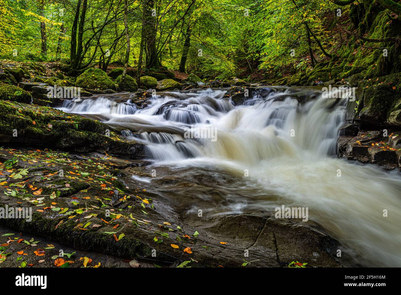 Small waterfalls in the Moness gorge at the Birks o Aberfeldy in the Perthshire countryside, Scottish Highlands Stock Photo