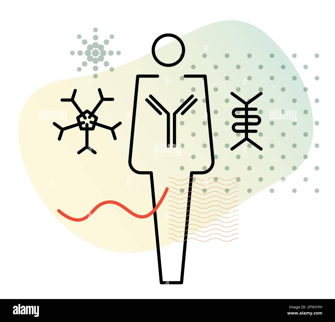 Immunoglobulin - Antibodies - Complex Protein - Icon as EPS 10 File ...