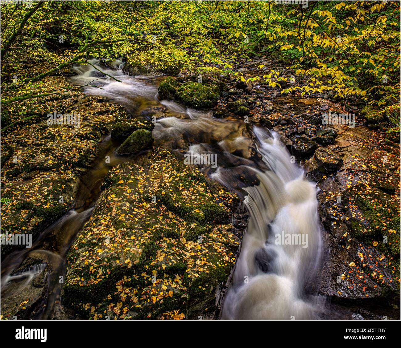 Small waterfalls in the Moness gorge at the Birks o Aberfeldy in the Perthshire countryside, Scottish Highlands Stock Photo