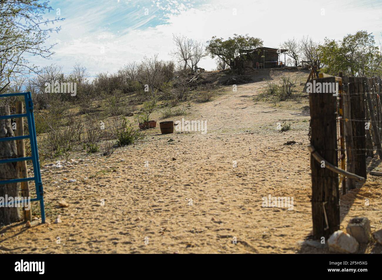 Rancho Tonibabi next to the Sierra La Madera, municipality of Moctezuma