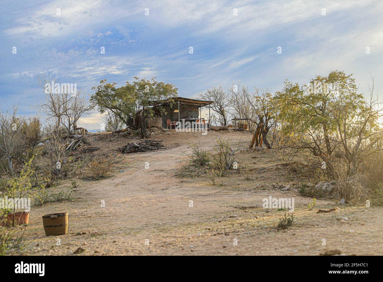 Rancho Tonibabi next to the Sierra La Madera, municipality of Moctezuma