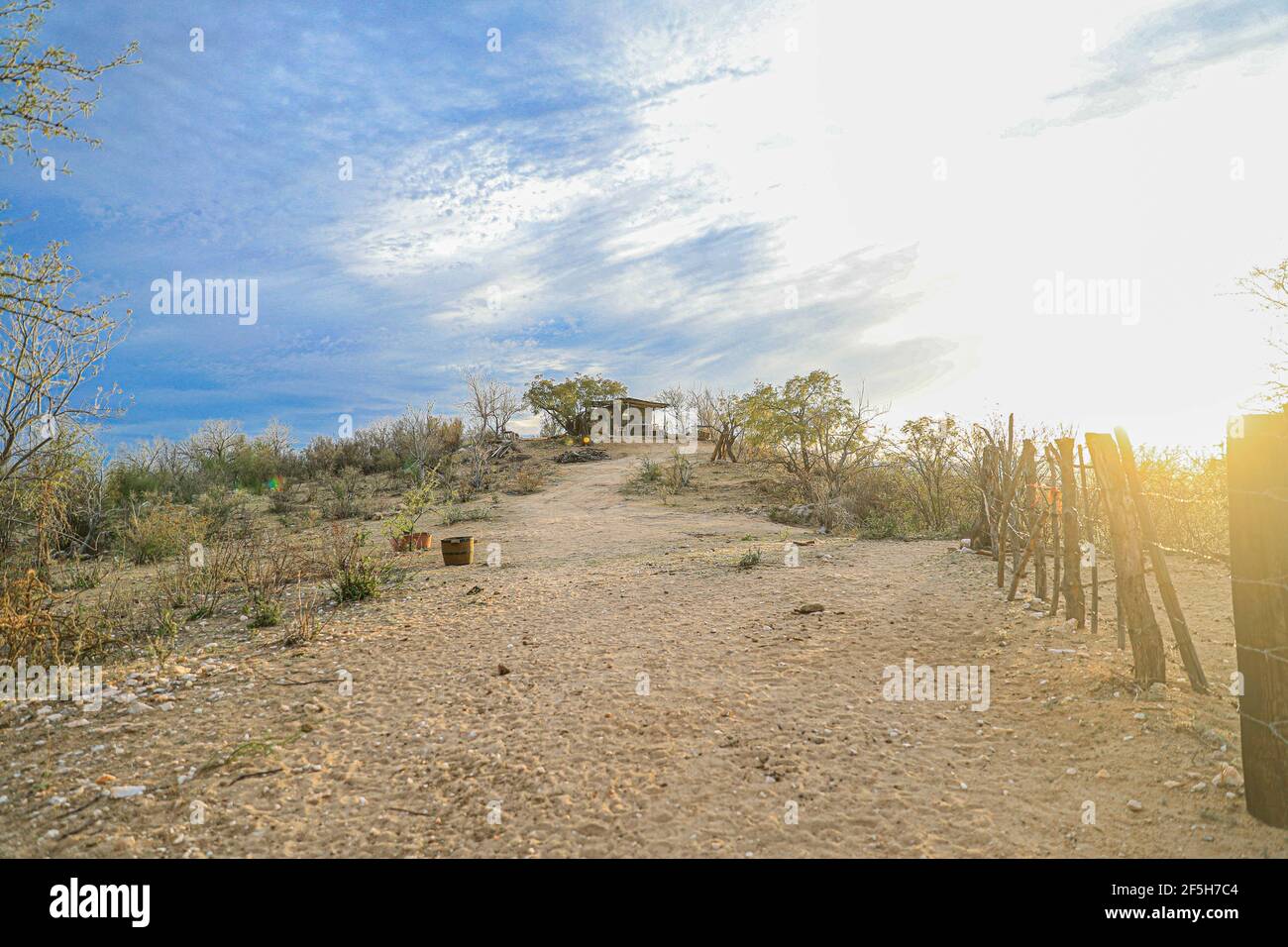 Rancho Tonibabi next to the Sierra La Madera, municipality of Moctezuma