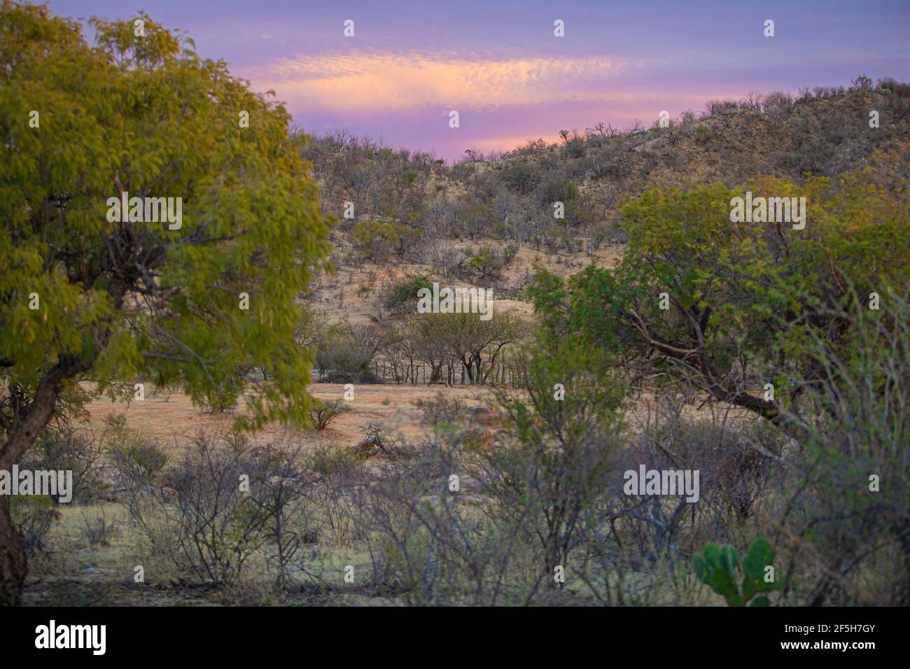 Paisaje del desierto al atardecer hi-res stock photography and images ...