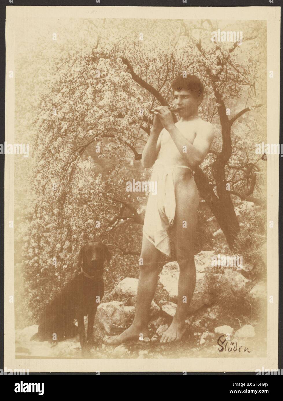 Boy playing flute. Baron Wilhelm von Gloeden (German, 1856 - 1931) Stock Photo