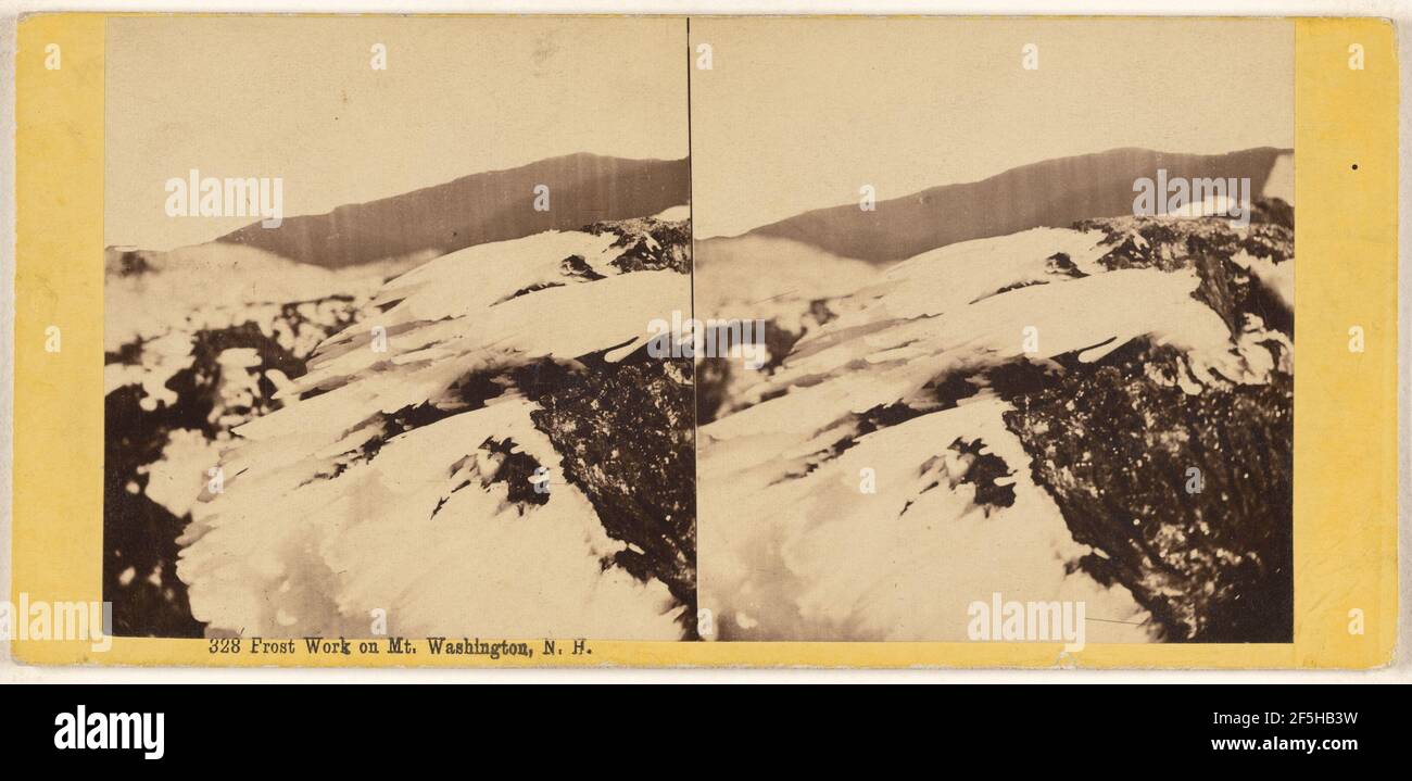 Frost Work on Mt. Washington, N.H.. Edward Bierstadt (American, born ...
