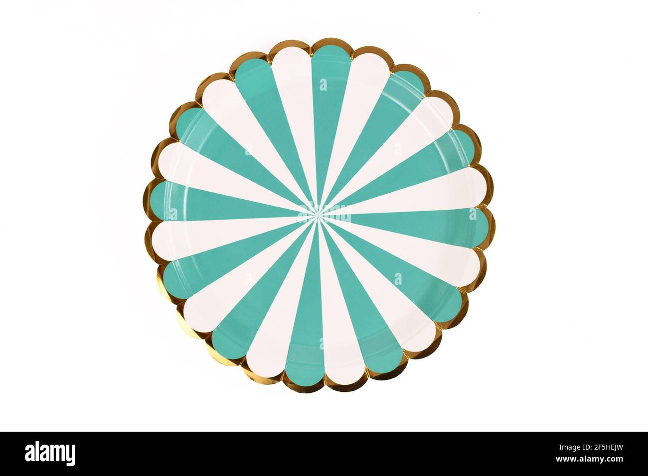 Blue and white 2024 striped paper plates
