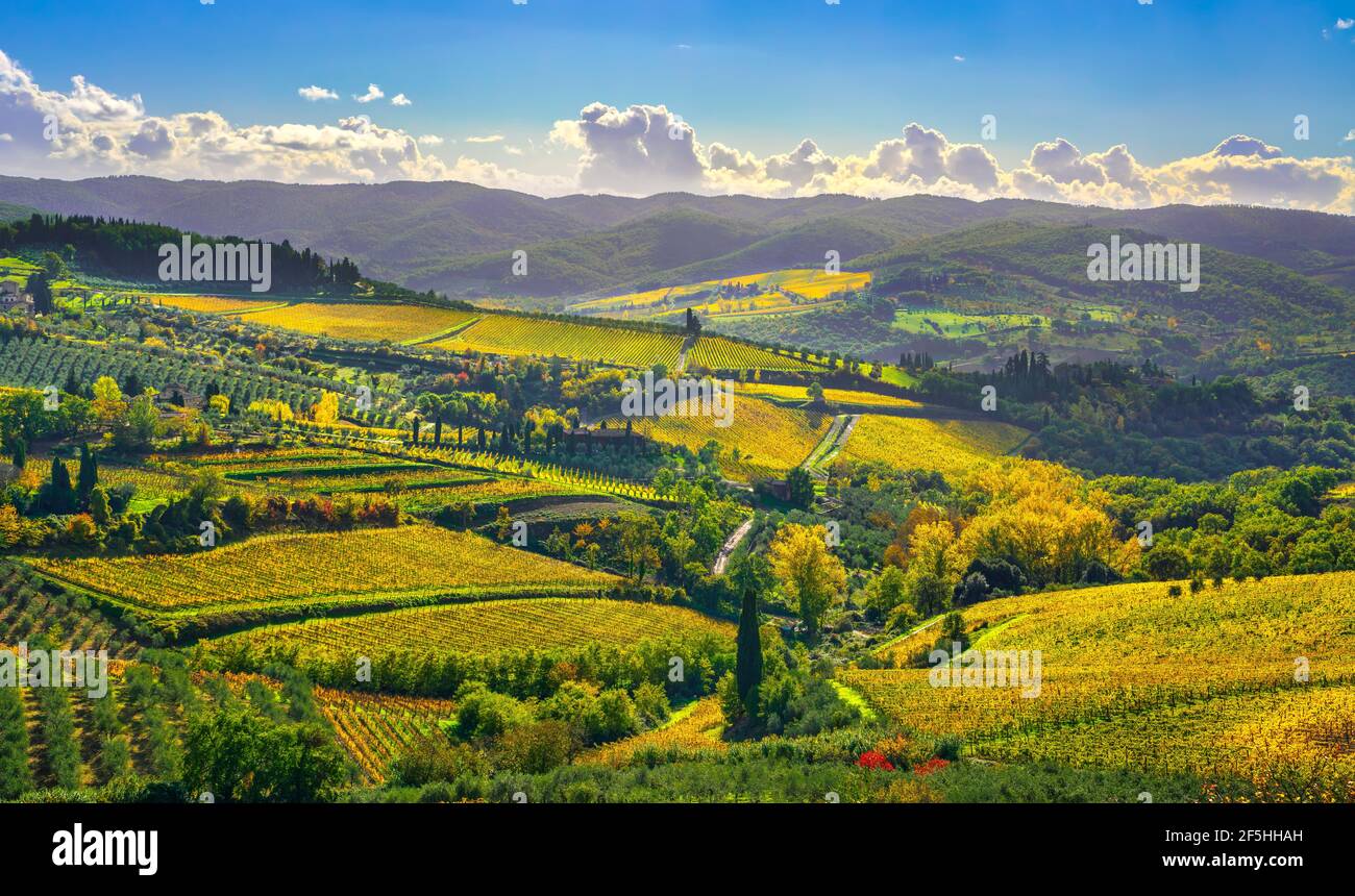 Panzano in Chianti vineyard and panorama in autumn. Tuscany, Italy Europe. Stock Photo