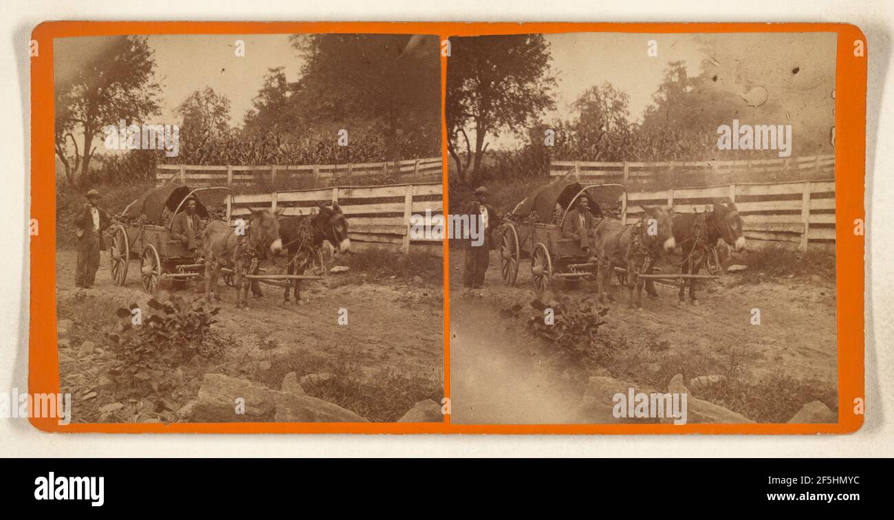 A Whole Team, on road to Market Asheville, North Carolina. Attributed to George Dimmock (American, active 1870s) Stock Photo