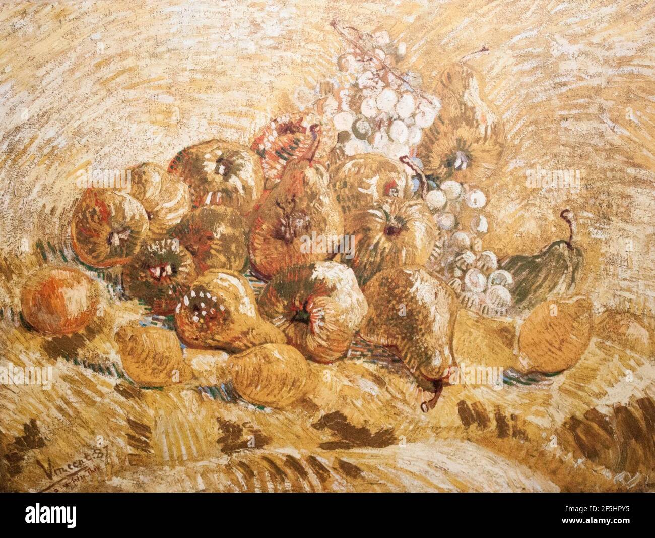 Pears quinces hires stock photography and images Alamy