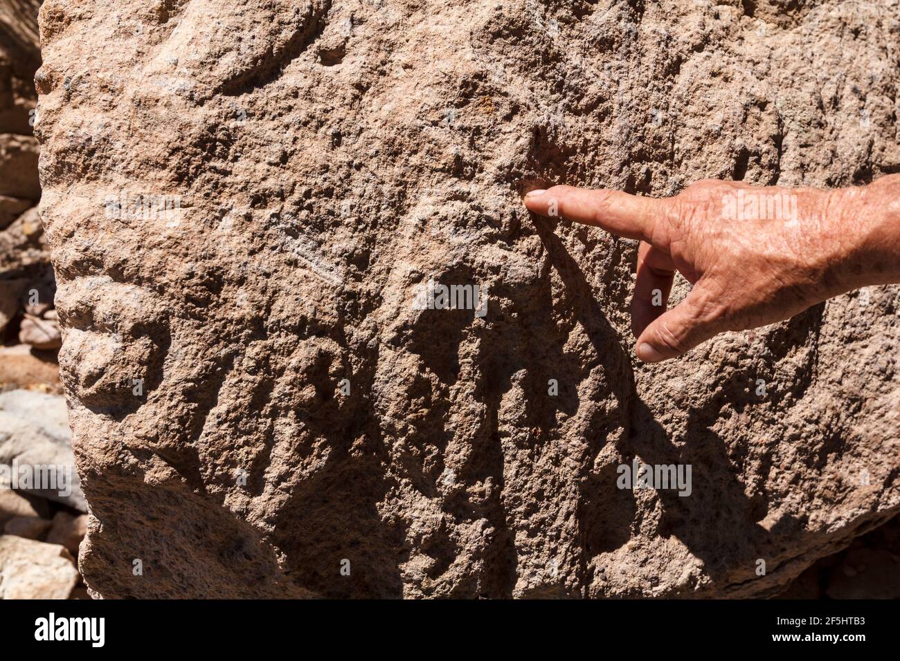 Hand of a man points to carvings on rock or petroglyphs in the cave of San Borjitas in the Mexican state of Baja California Sur Stock Photo