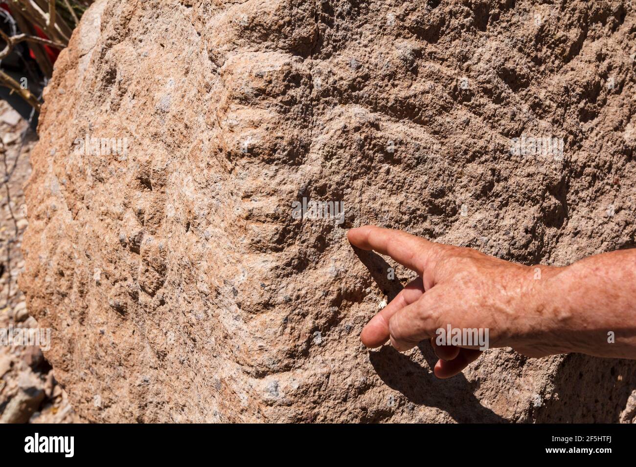 Hand of a man points to carvings on rock or petroglyphs in the cave of San Borjita in the Mexican state of Baja California Sur Stock Photo