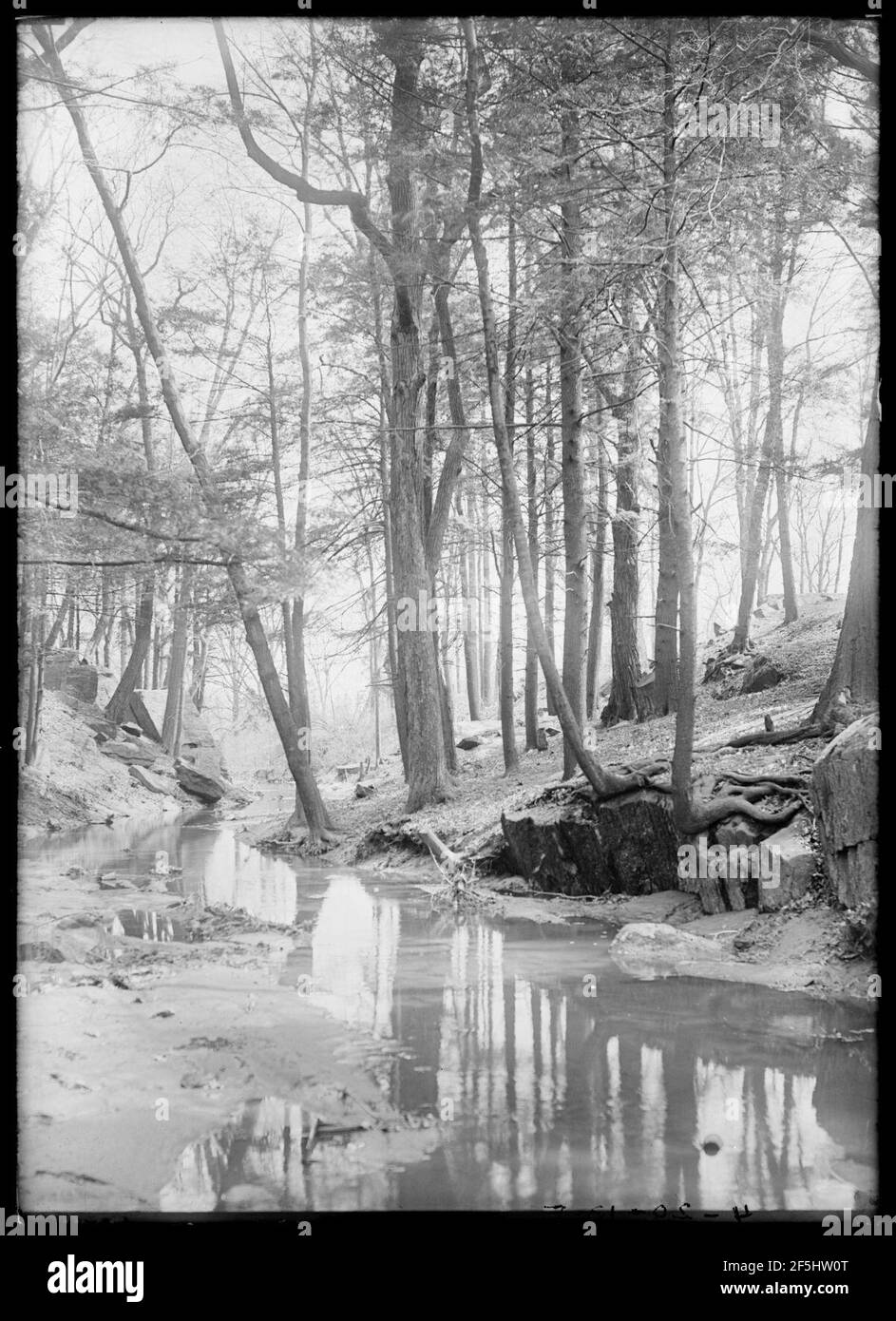 Rattlesnake Brook, Eastchester, New York, undated (ca. 18901919) 1