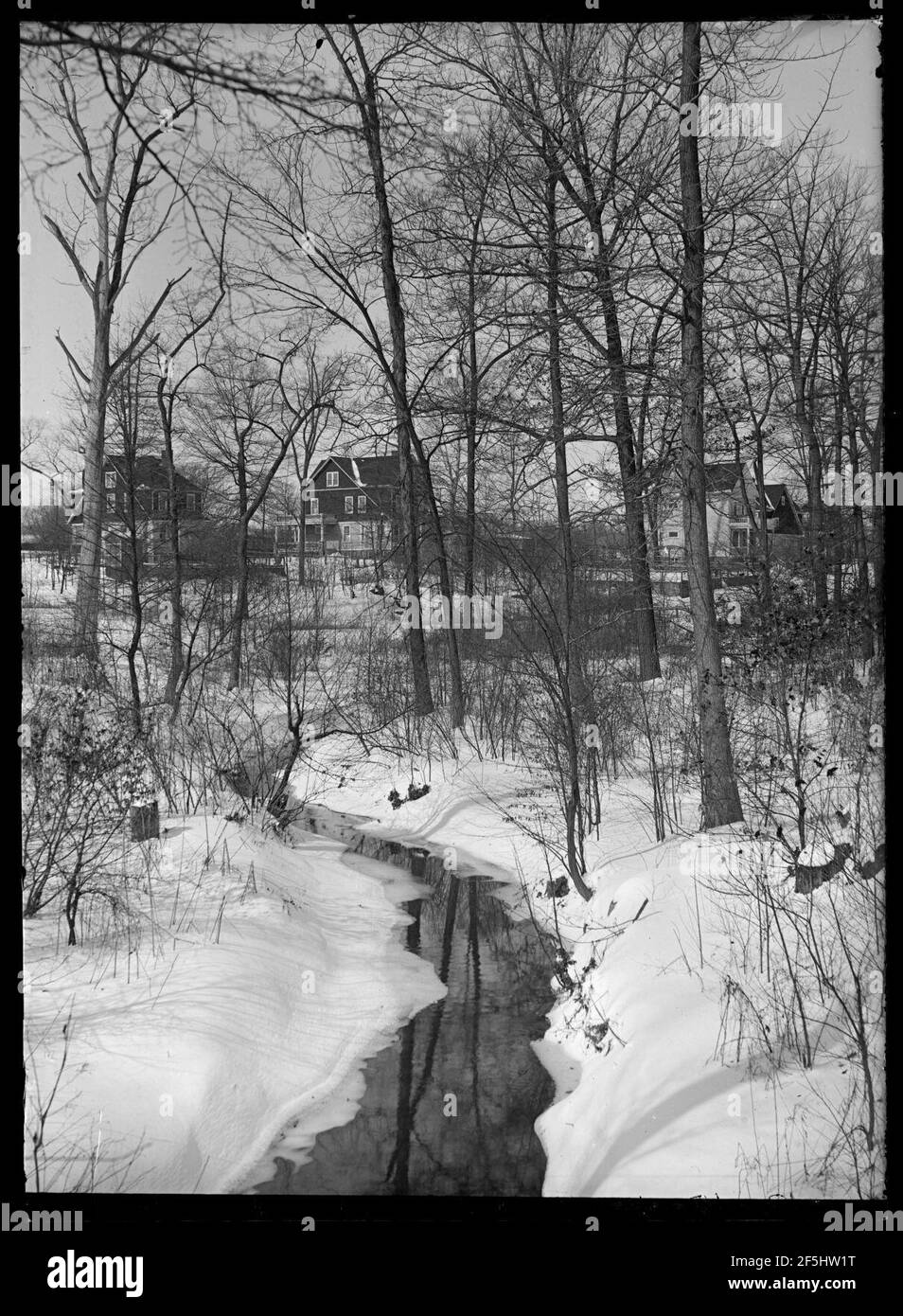 Rattlesnake Brook in winter, Bronx, New York City, February 5, 1914