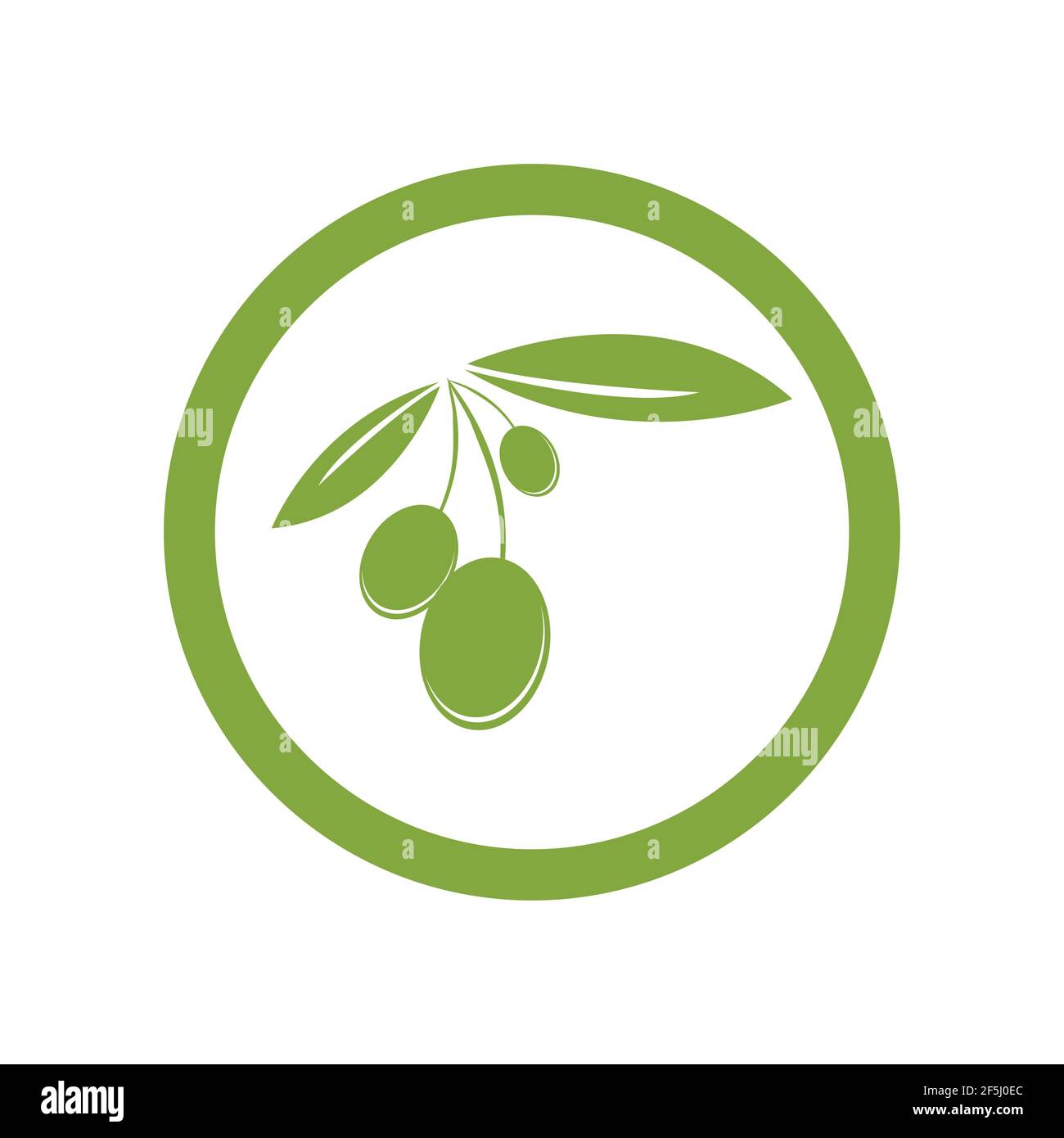olive logo template vector design Stock Vector