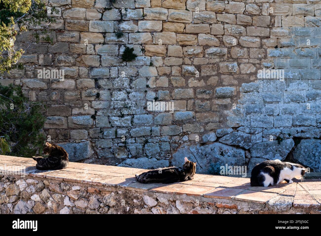 Roman wall of Tarragona, Tarraco, Catalonia, Spain. UNESCO World