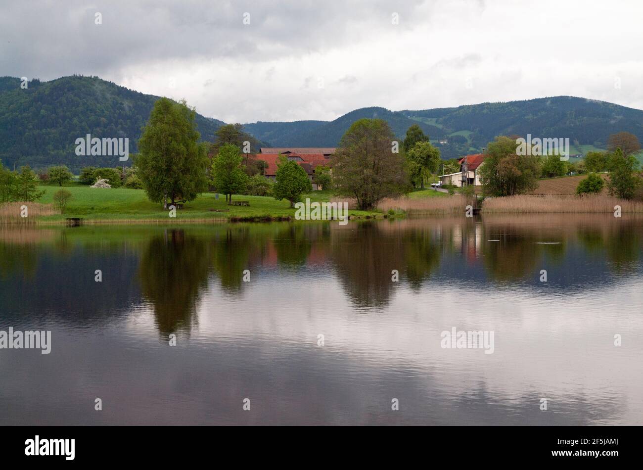 Reflections in Puschacherteich, one of Yspertal's three lakes, Lower Austria. Stock Photo