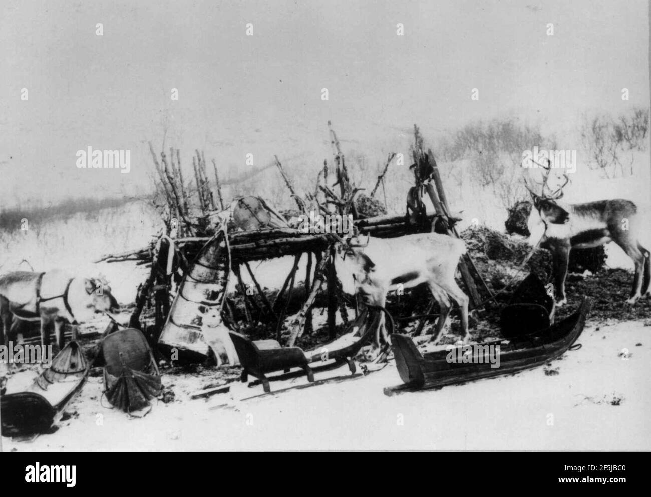 Pulker, sleder og reinsdyr ved et stillas, Sør-Varanger Finnmark, før 1900 Stock Photo