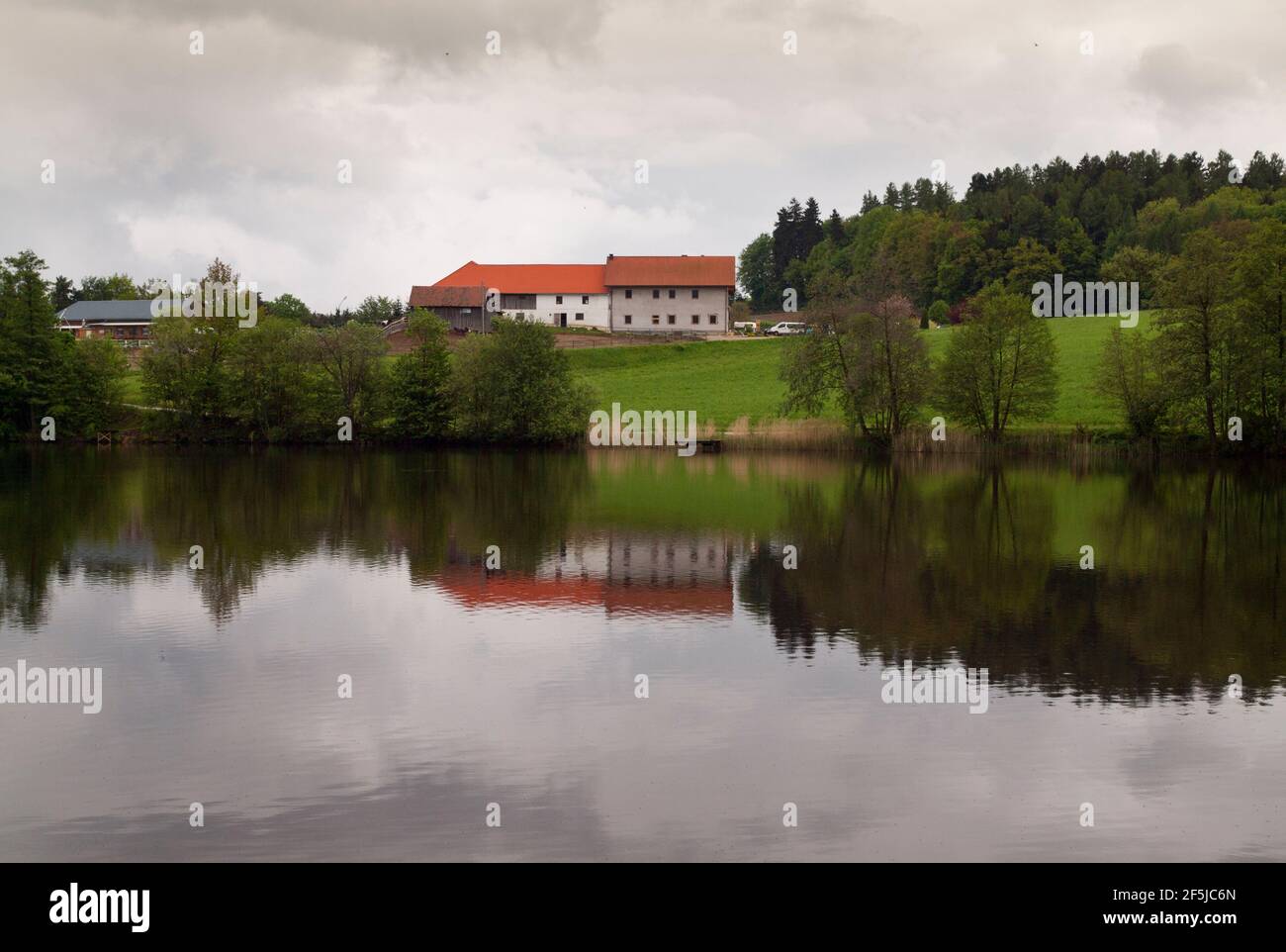 Reflections in Puschacherteich, one of Yspertal's three lakes, Lower Austria. Stock Photo
