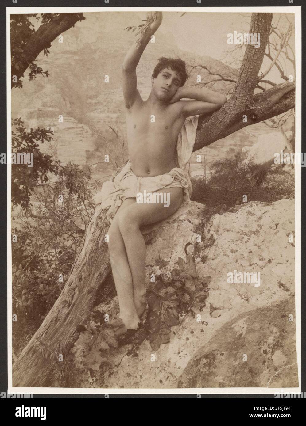 Youth in Tree with Arm Raised. Baron Wilhelm von Gloeden (German, 1856 - 1931) Stock Photo