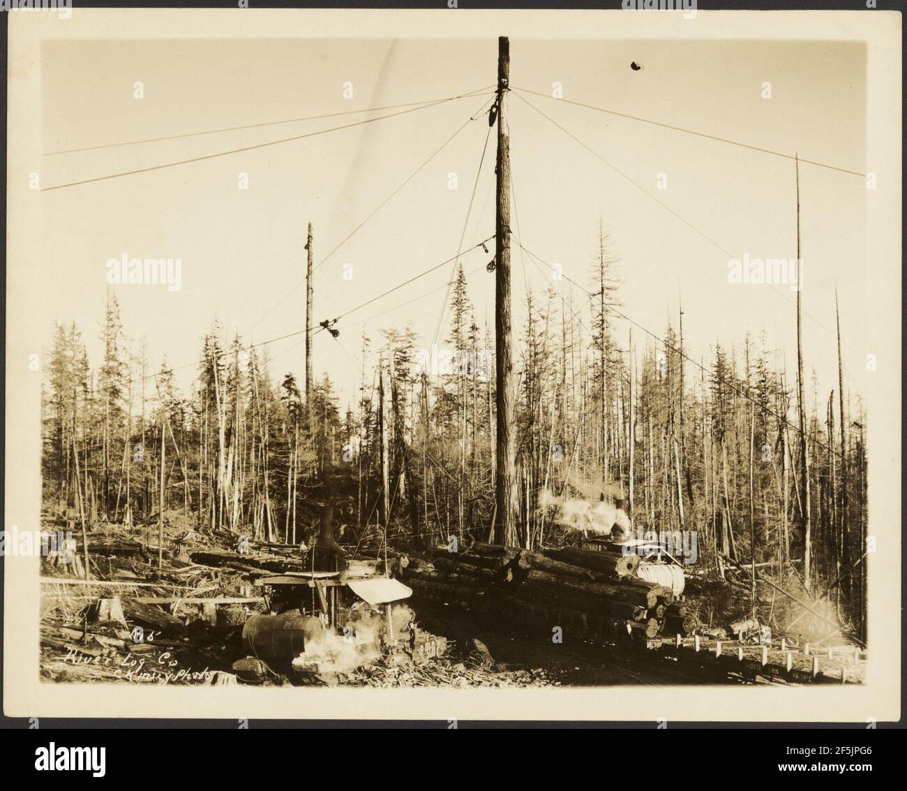 Logging/ Timber Scene. Darius Kinsey (American, 1869 - 1945 Stock Photo ...