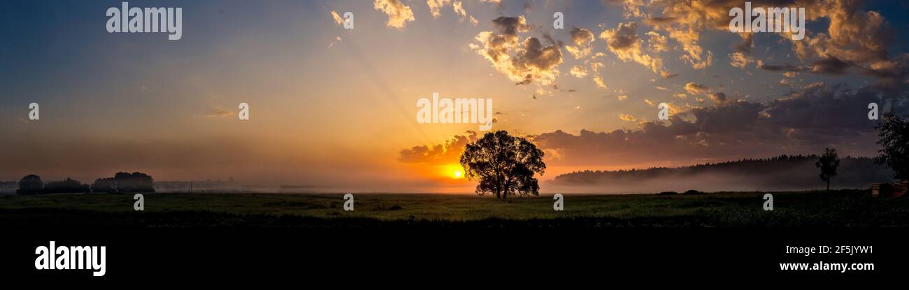 Beautiful sunrise over green field and single tree in a summer morning ...