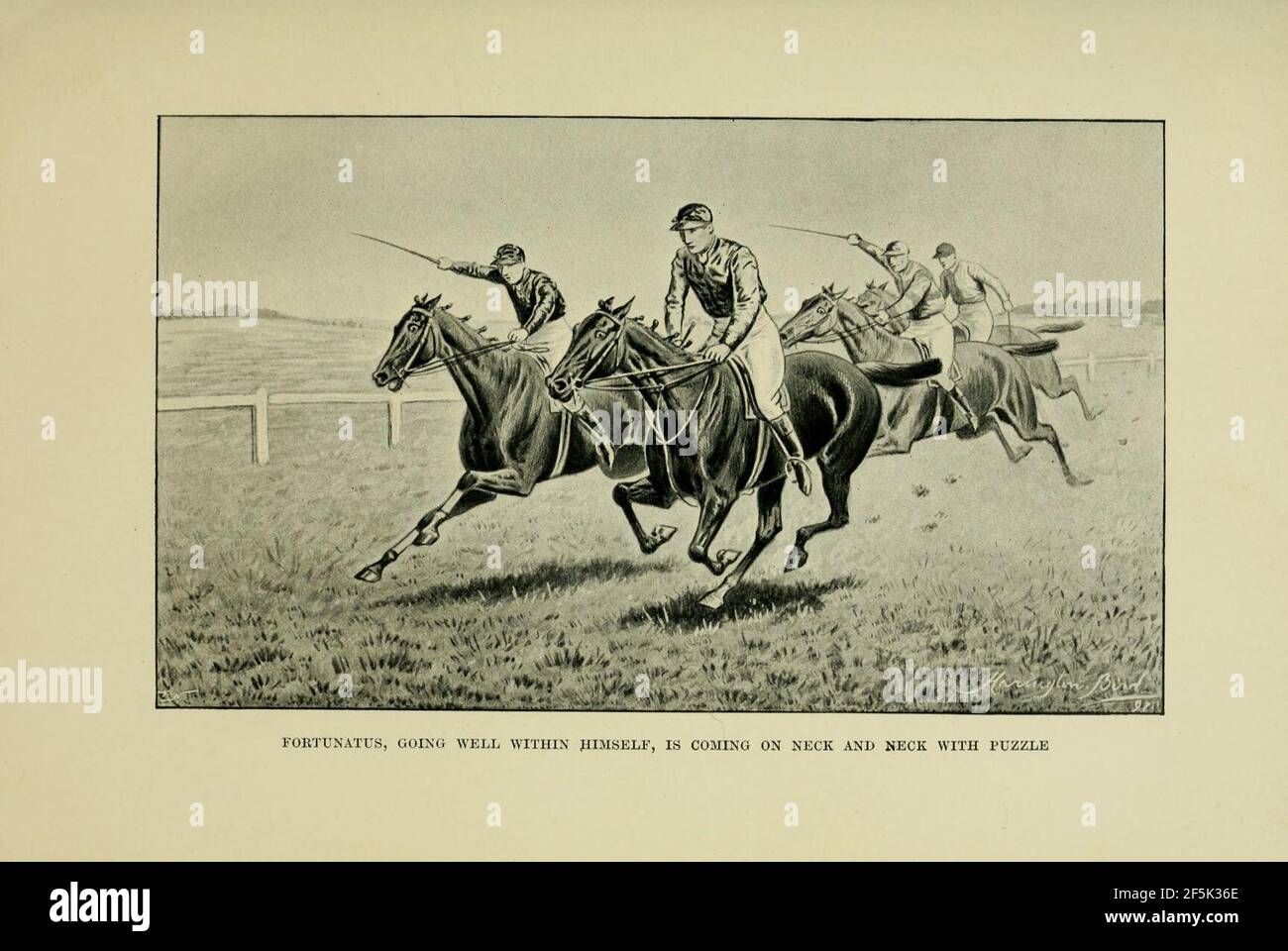 Racing and 'chasing Stock Photo - Alamy