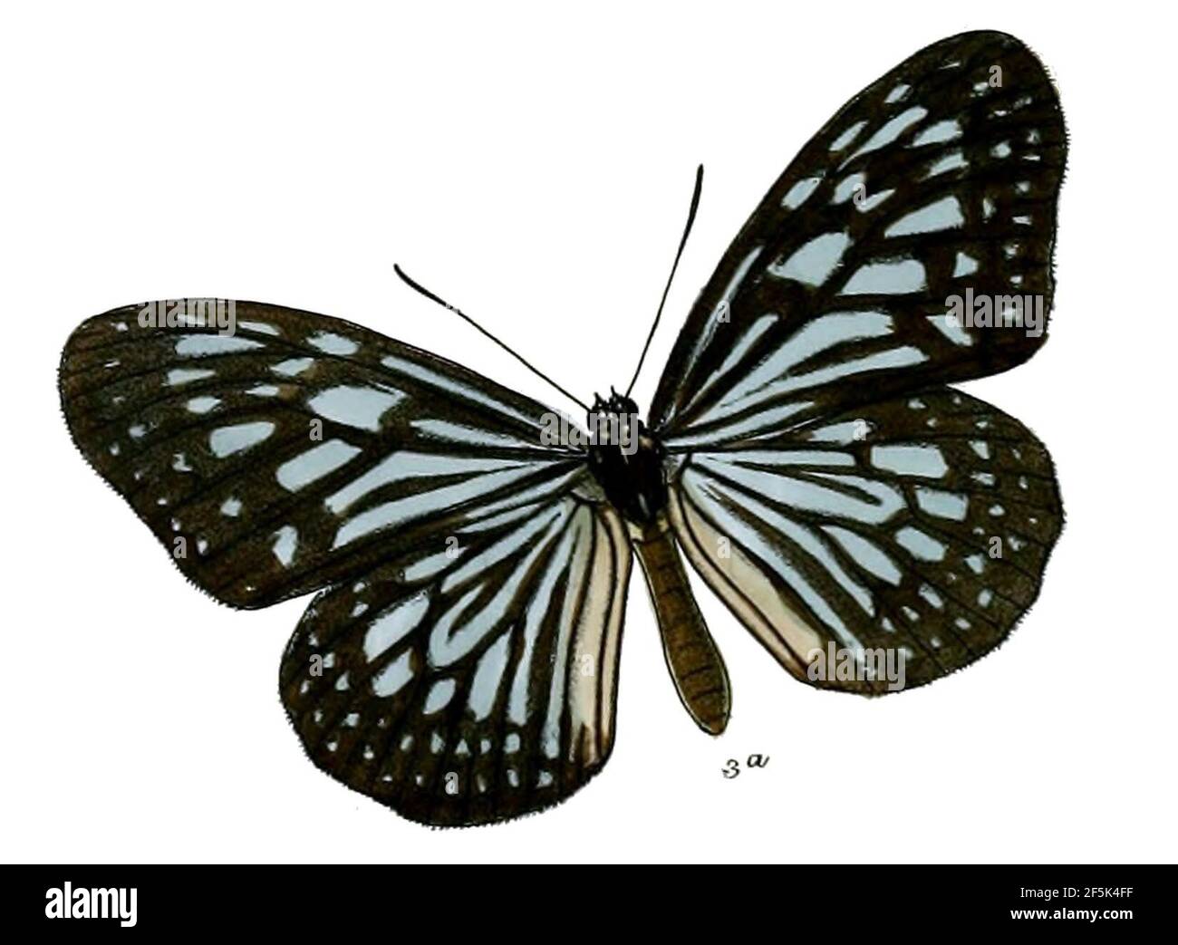 RadenaExpromptaF 5 3a Stock Photo - Alamy