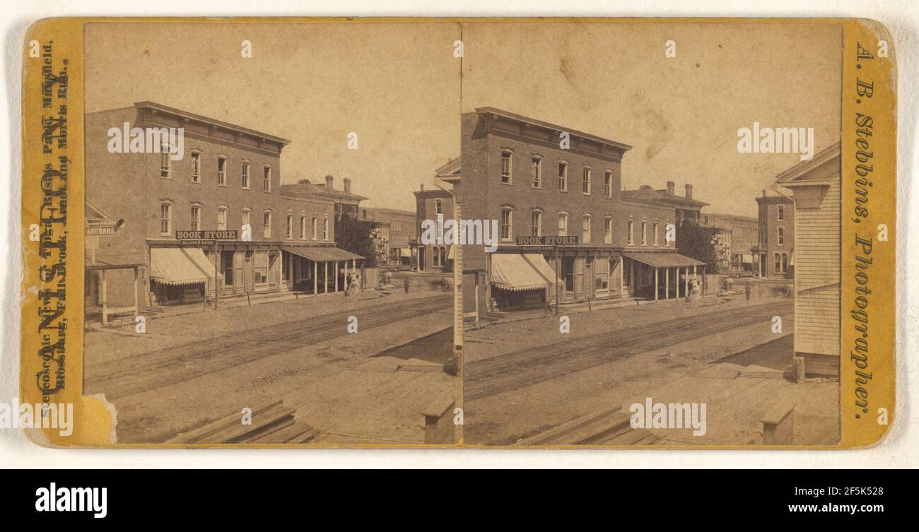 Greenwood Street at Canisteo, New York. A.B. Stebbins (American, active 1860s - 1870s) Stock Photo