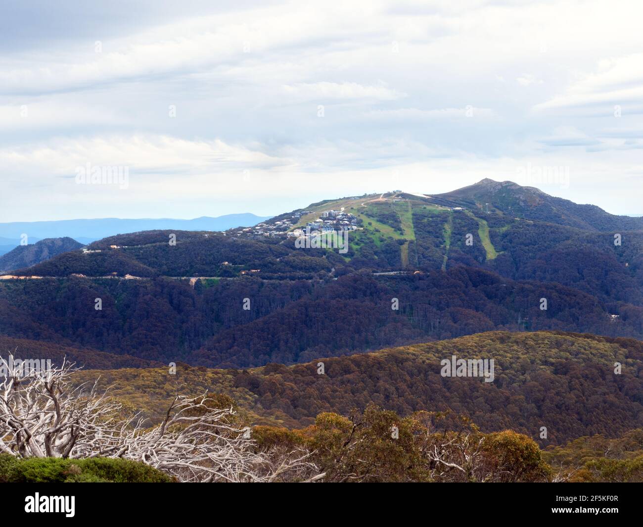 The View from Mount Stirling Loop Walking Track, on the Great Dividing Range, Victoria, Australia Stock Photo