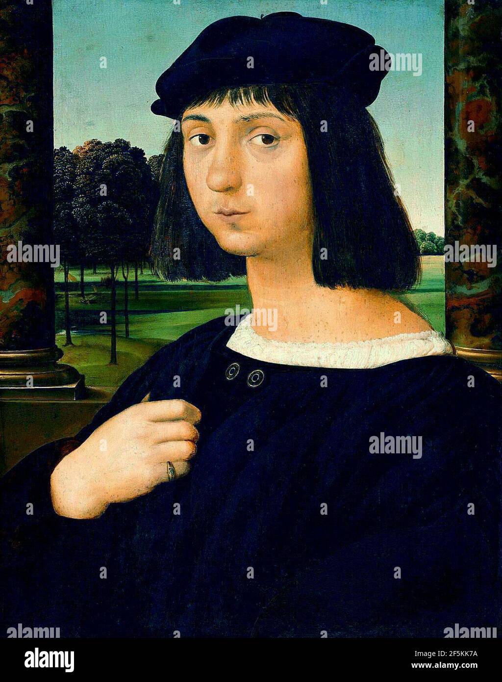 Raphael - Portrait of a Young Man Stock Photo - Alamy
