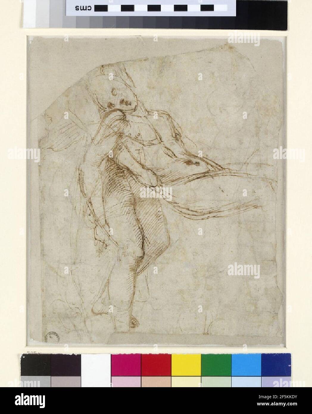 Raphael - Verso The dead Christ carried to the Tomb, WA1846.166 Stock ...
