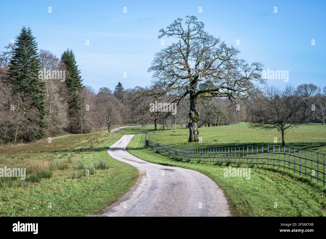 Gravel country road hi-res stock photography and images - Alamy