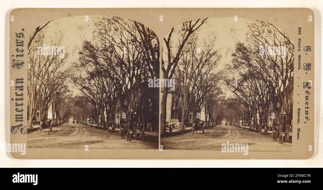 Chestnut Street. Boston, Mass.. G.K. Proctor (American, died 1882 Stock