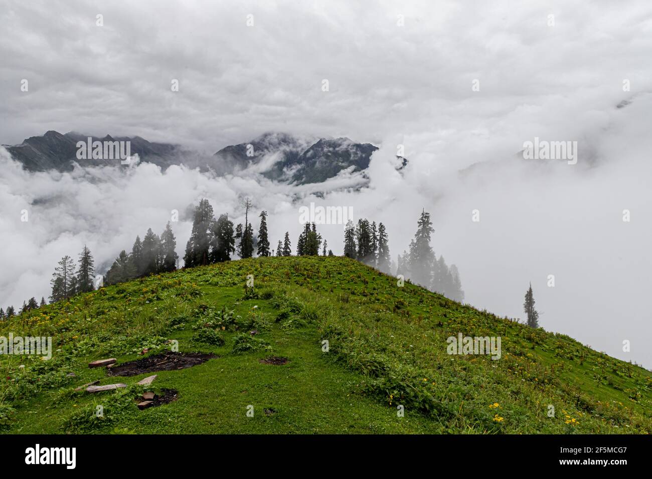 mesmerizing view of clouds in himachal pradesh,with fresh green meadows in bloom. Stock Photo