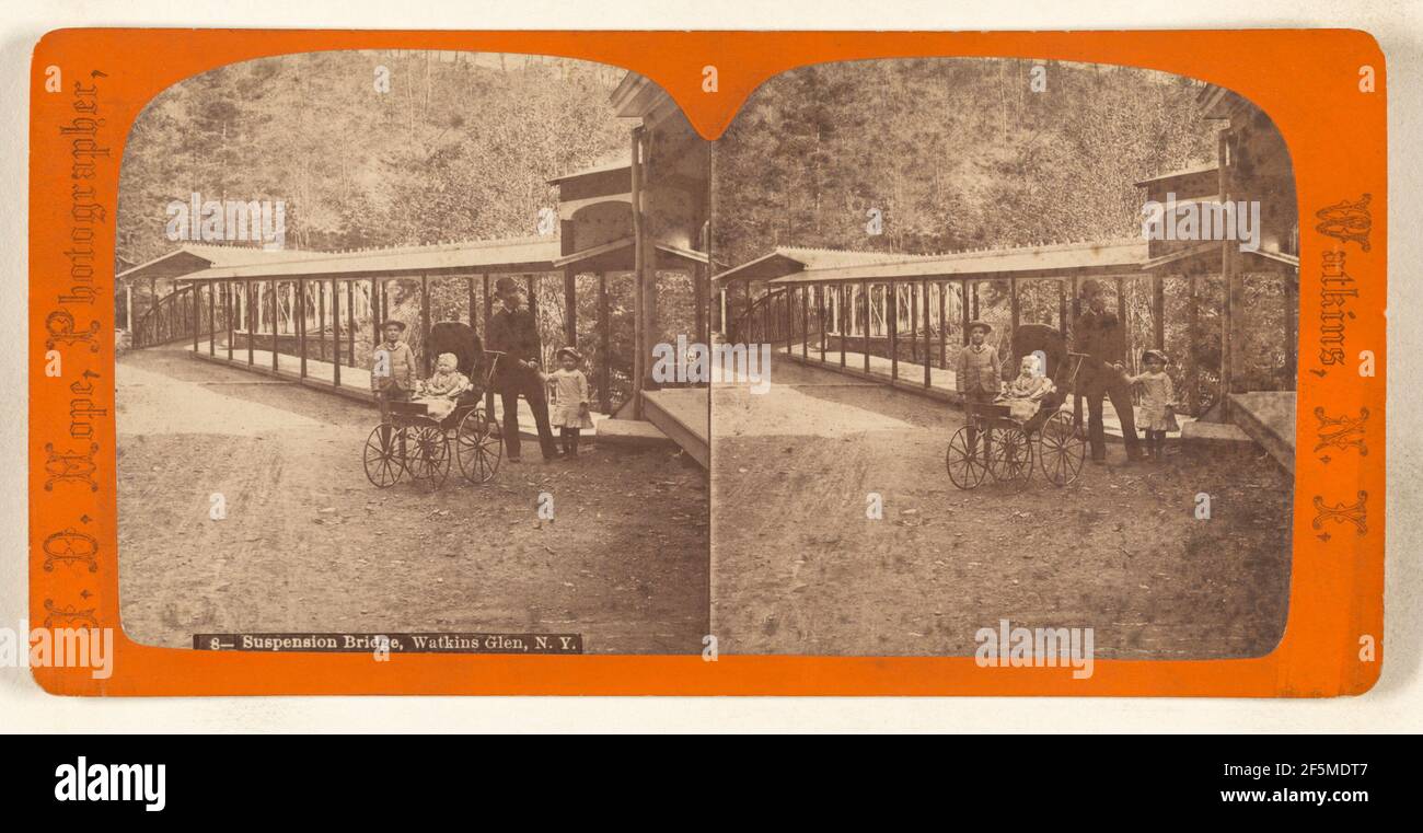Suspension Bridge, Watkins Glen, N.Y.. James Douglas Hope (American