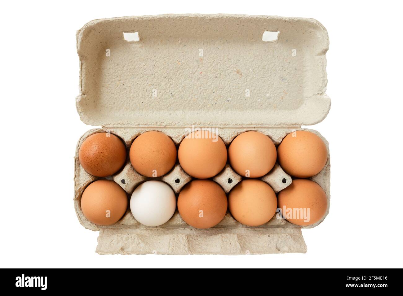 Chicken eggs isolated on white background in cardboard container for transportation. View from the top. Stock Photo