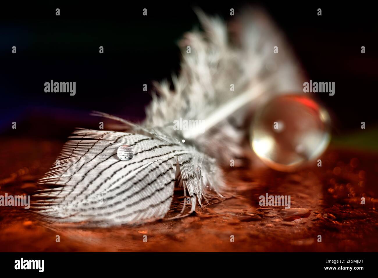 Concept with fork bird on fantasy background Stock Photo Alamy