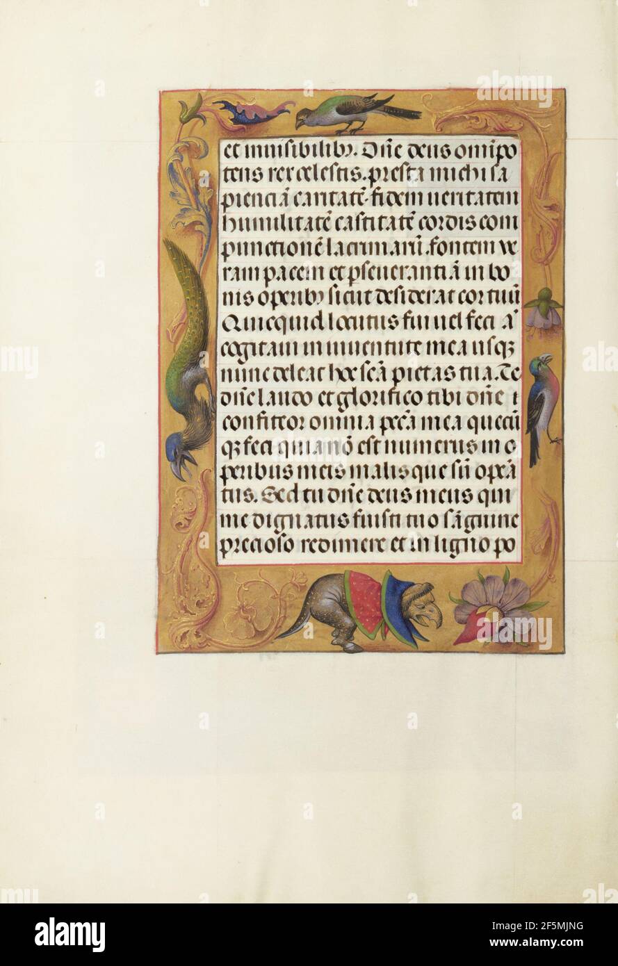 Ornate textual elements hi-res stock photography and images - Alamy