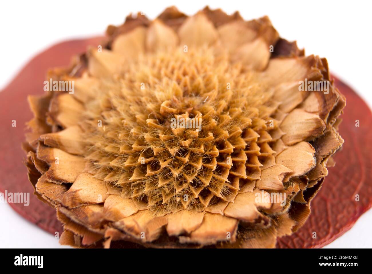 wooden flower on red leaf Stock Photo